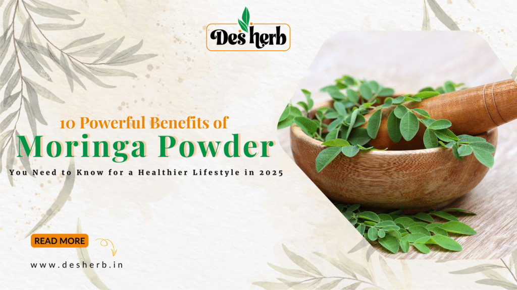 Moringa Powder Benefits