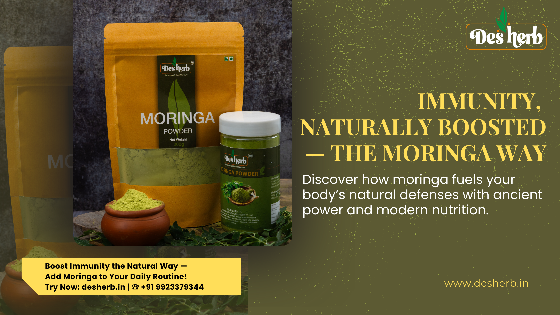 How does moringa boost immunity?
