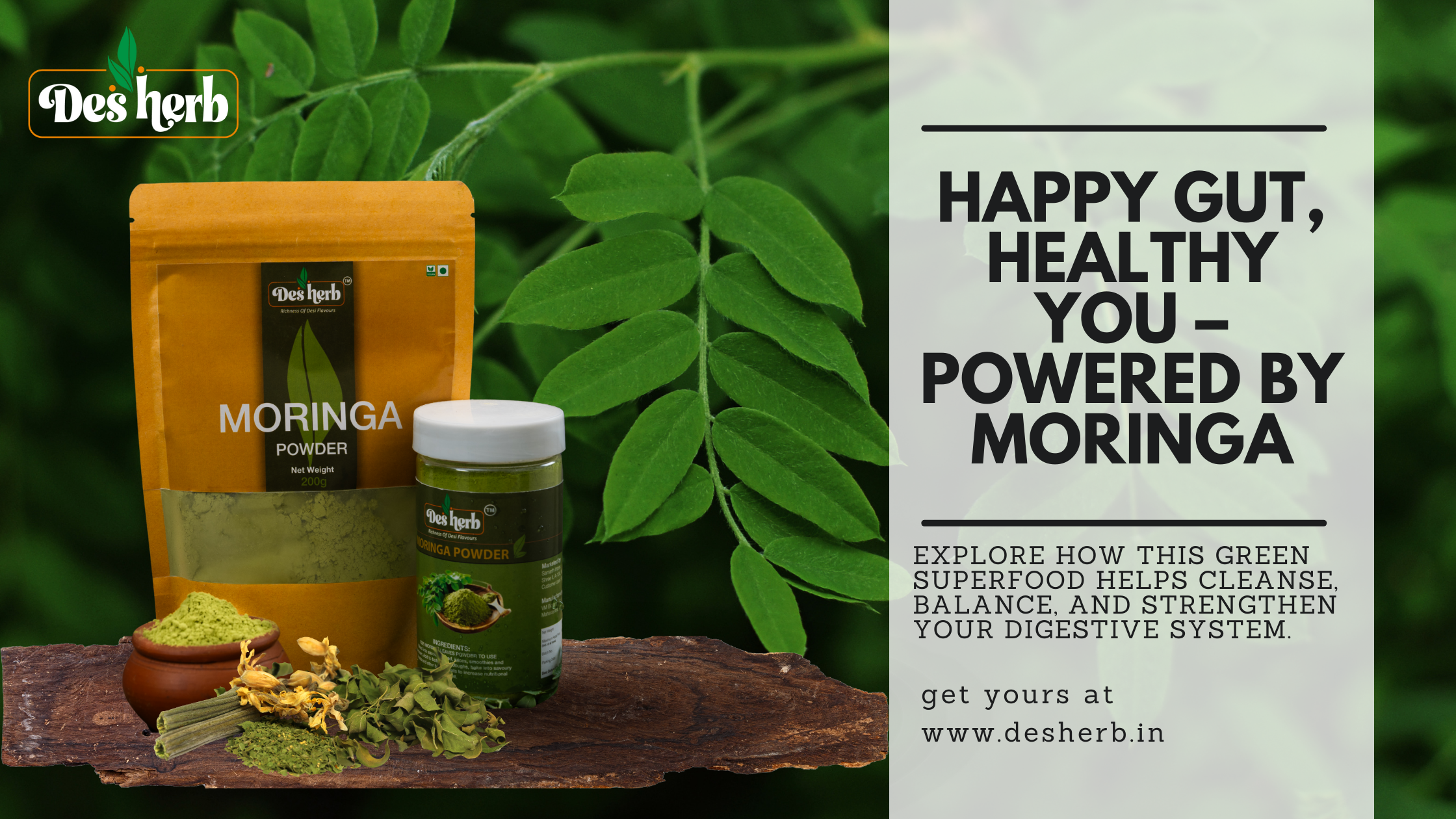Is moringa good for digestion?
