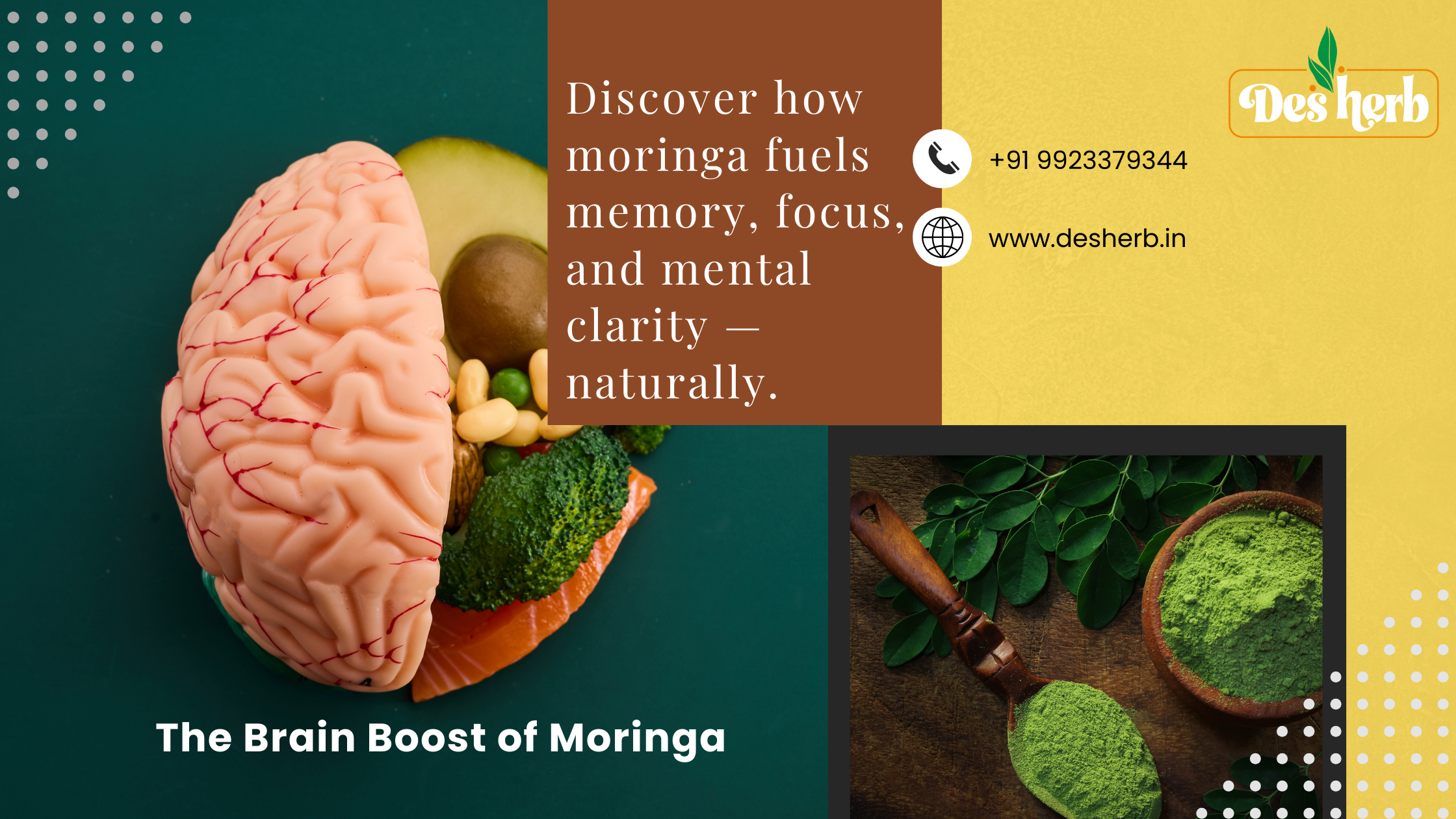 How does moringa help brain function?