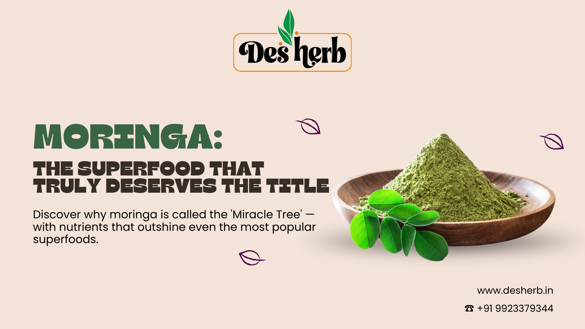 moringa considered a superfood?