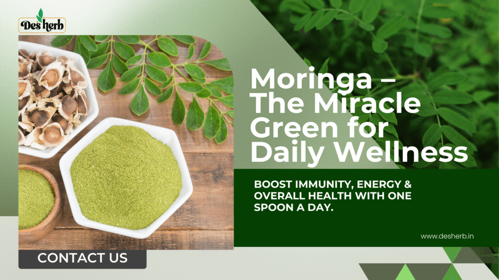 Moringa Powder