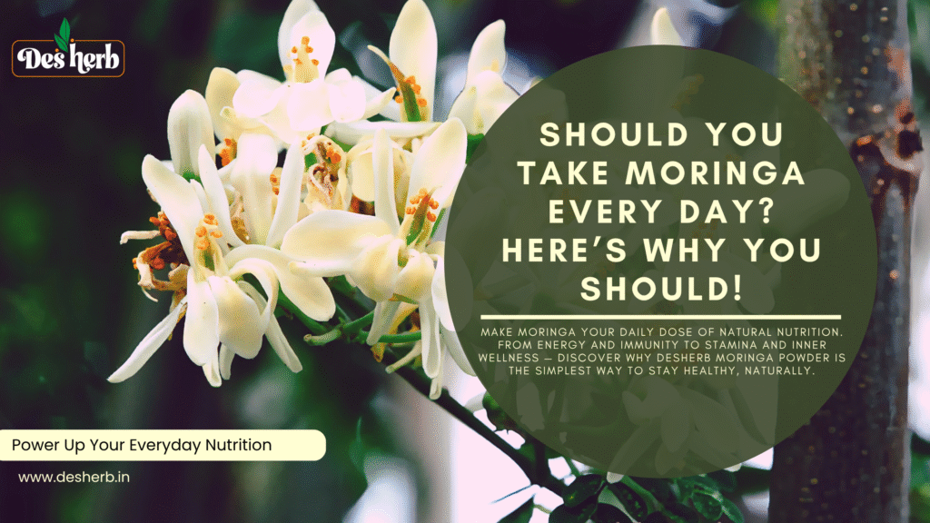 Is Moringa Good for Daily Nutrition?