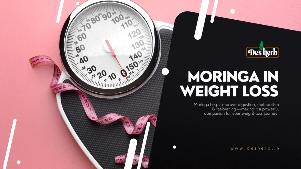 moringa in weight loss